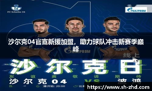 沙尔克04官宣新援加盟，助力球队冲击新赛季巅峰