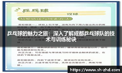 乒乓球的魅力之旅:深入了解成都乒乓球队的技术与训练秘诀